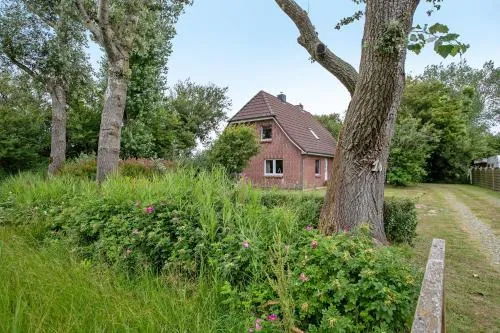 Ferienhaus Joshy in Rodenäs, Deutschland