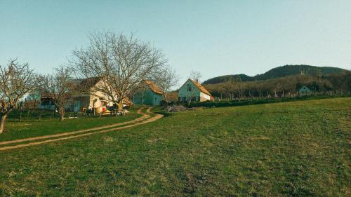 Erdődi Birtok Dióliget - Erdődi Manor Walnut Grove (Erdodi Birtok Dioliget - Erdodi Manor Walnut Grove) in Badacsonylabdihegy