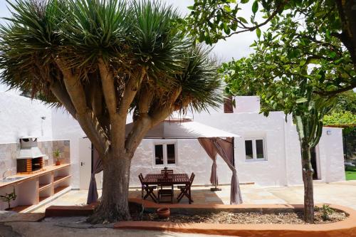 Villa Almagre 2