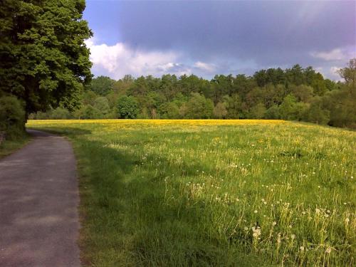Viesnīcas āriene, Albfewo in St Johann