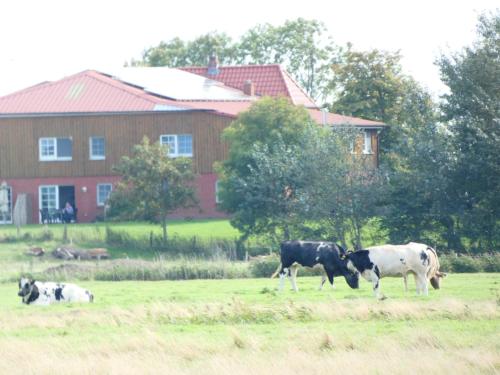 Viesnīcas āriene, Schäferhof Dircks Fewo 3 (Schaferhof Dircks Fewo 3) in Westerhever