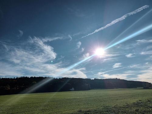 Фасада на хотела, Superior Apartment Waldblick in Westerheim