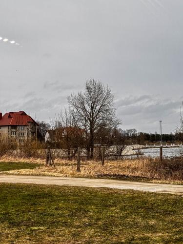 Skats, Amber loft 12 Rusnė (Amber loft 12 Rusne) in Rusne