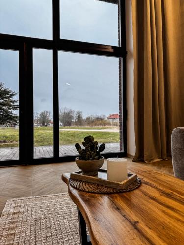 Skats, Amber loft 12 Rusnė (Amber loft 12 Rusne) in Rusne