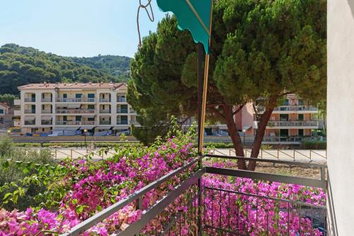 Bouganville vista mare