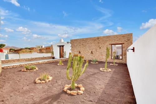 Casa Rural Sajoná (Casa Rural Sajona) in Tiscamanita