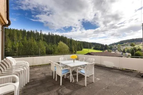 Ferienheim Eisenbach in Eisenbach Hochschwarzwald, Deutschland