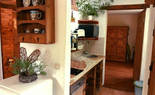 virtuve, Ferienwohnung Sophienhof in Düvier