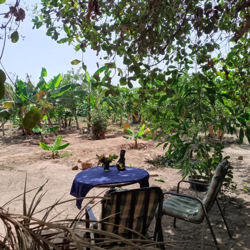 Living Earth Farm Diannah - Sounds of Nature in Abéné