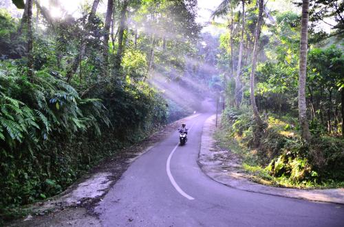 Ubud Sawah Scenery Villa and Homestay