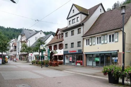 Haus Schiltach in Schramberg, Deutschland