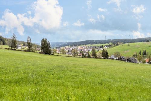 Terrassenpark Schonach App. 161 - image 9