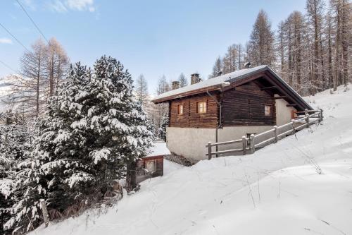 Chalet Royal gîte à louer La Paluaccia