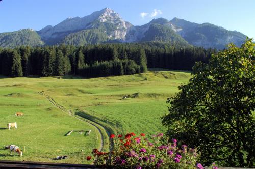 Bauernhof Ober