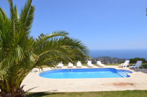 Villa La Venta - image 2