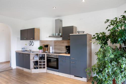 virtuve, Ferienwohnung Glücksmomente (Ferienwohnung Glucksmomente) in Habichtswald