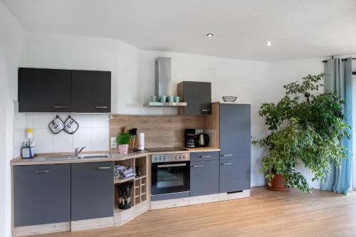 virtuve, Ferienwohnung Glücksmomente (Ferienwohnung Glucksmomente) in Habichtswald