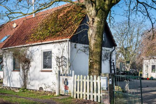 Harmonie Tiny House