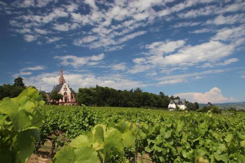 A szálláshely kívülről, An den Weinbergen in Bingen am Rhein
