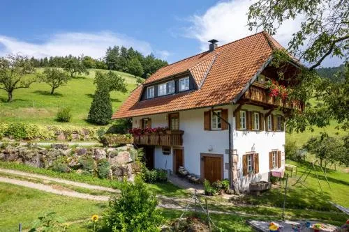 Ferienhaus Vollmer in Nordrach, Deutschland