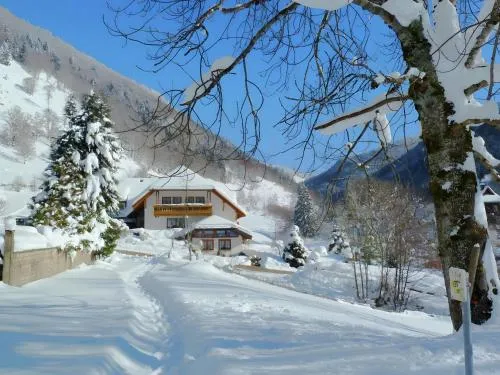Haus am Rotwiesenbach in Todtnau, Deutschland