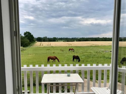 Hotelli välisilme, Ferienwohnung Traumblick in Grevenkrug
