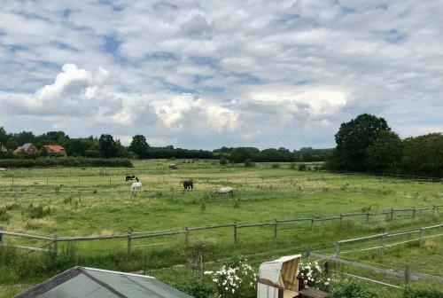 Hotelli välisilme, Ferienwohnung Traumblick in Grevenkrug