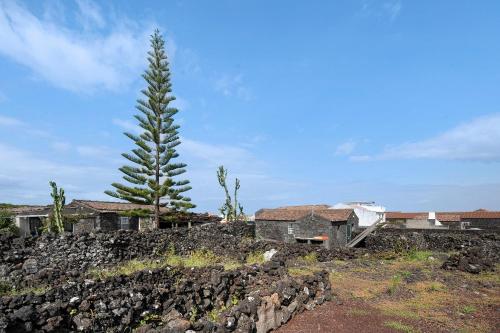 Viesnīcas āriene, Adega Maciel in Lajido