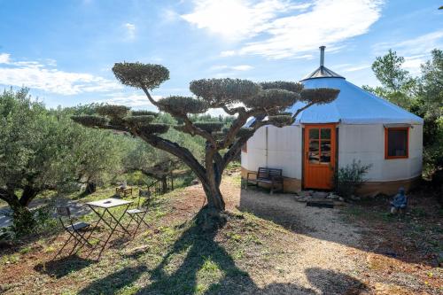 Viesnīcas āriene, Yurta Mongola Delta del Ebro in Coll de l'Alba