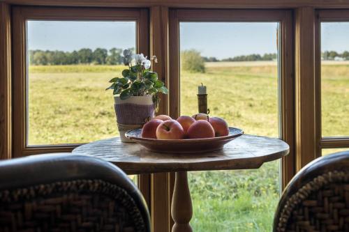 Istaba viesiem, Apartment Lüneburger Heide (Apartment Luneburger Heide) in Hankensbüttel