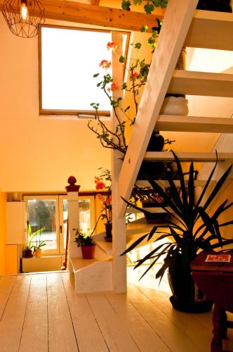 B&B La Ducale - image 6