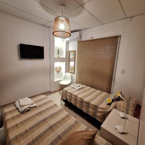 C1 Suite in Concepción