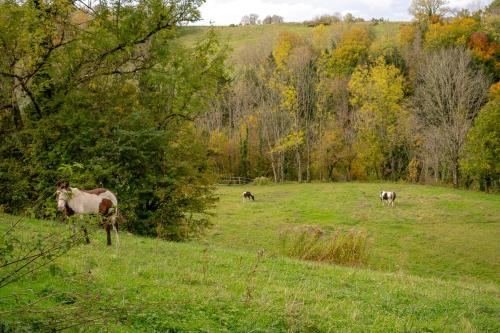 Viesnīcas āriene, Le Palefroi De Merlas in Saint-Geoire-en-Valdaine