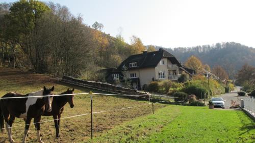 外部景觀, Ferienwohnung Fasse in 烏斯拉爾