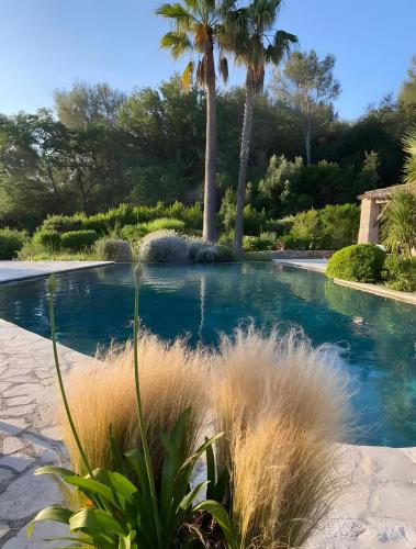 La suite du Jardin du Clos stemarie - Location saisonnière - Roquefort-les-Pins