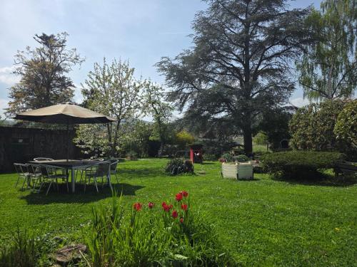 Le nid des volcans, jardin, brasero & bain nordique - Location saisonnière - Châtel-Guyon
