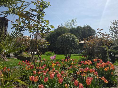 Le nid des volcans, jardin, brasero & bain nordique - Location saisonnière - Châtel-Guyon