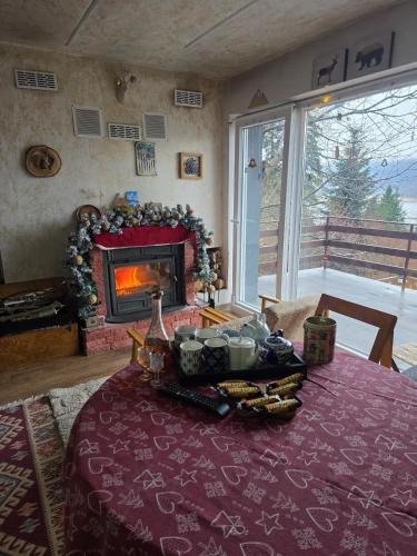 Villa Freddie Mavrovo - Lakeview House in Leunovo