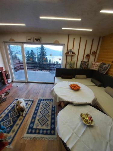 Villa Freddie Mavrovo - Lakeview House in Leunovo