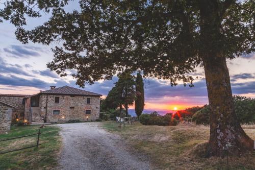 Masseria del bosco Palazzone
