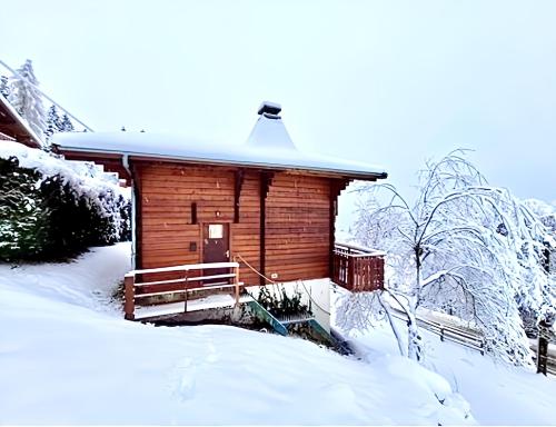 Exterior view, Chalet Mouflon - Vue lac imprenable in Thollon-les-Memises