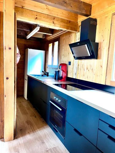 Kitchen, Chalet Mouflon - Vue lac imprenable in Thollon-les-Memises