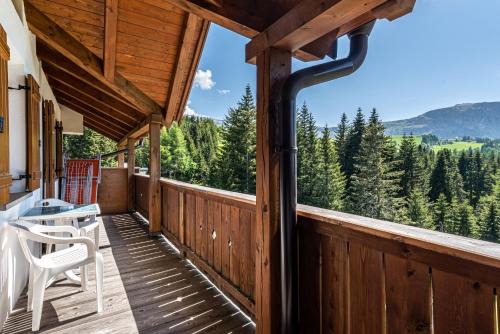 Sabina Dolomites Latsche