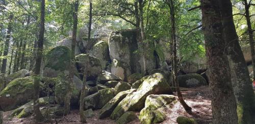 外部景觀, Am oberen Bühl (Am oberen Buhl) in 弗賴堡
