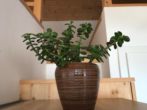 Ferienwohnung Mountaintop - image 2