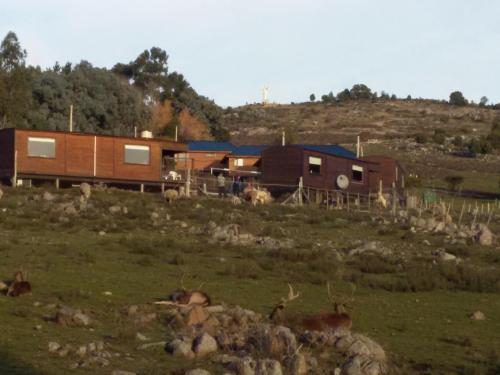 Cabin (3 Adults) image 8