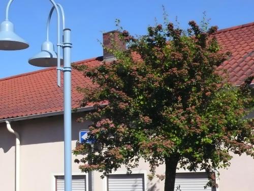 Viesnīcas āriene, Ferienwohnung in ehemaliger Bank in Sinntal