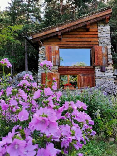 Viesnīcas āriene, Chalet Armonia Res Albert in San Giacomo Filippo