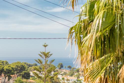 Finca 9 - image 5