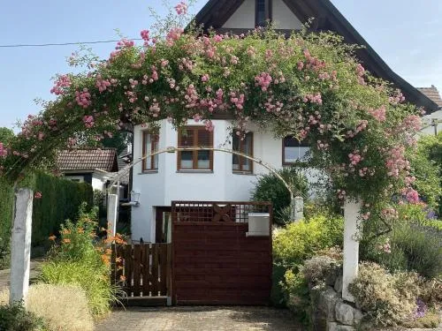 Dalea in Bad Waldsee, Deutschland